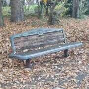 ヒメ日記 2025/12/02 10:06 投稿 みこと 奥様の実話 梅田店