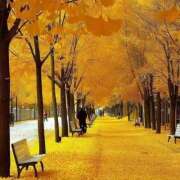 ヒメ日記 2025/12/04 09:04 投稿 みこと 奥様の実話 梅田店