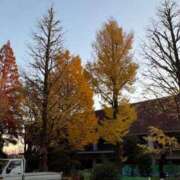 ヒメ日記 2025/12/05 08:58 投稿 みこと 奥様の実話 梅田店