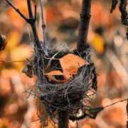 みこと おはようございます。みことです。 奥様の実話 梅田店