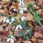 みこと おはようございます。みことです。 奥様の実話 梅田店