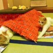 ヒメ日記 2025/12/10 09:17 投稿 みこと 奥様の実話 梅田店