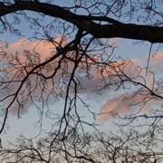 ヒメ日記 2025/12/11 08:59 投稿 みこと 奥様の実話 梅田店