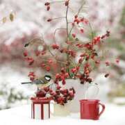 みこと おはようございます。みことです。 奥様の実話 梅田店