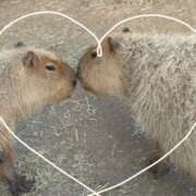 みこと おはようございます。みことです。 奥様の実話 梅田店