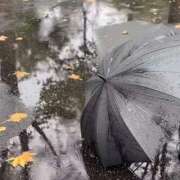 ヒメ日記 2025/12/21 10:35 投稿 みこと 奥様の実話 梅田店