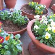 ヒメ日記 2025/12/28 09:00 投稿 みこと 奥様の実話 梅田店