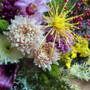 ヒメ日記 2025/12/31 19:03 投稿 みこと 奥様の実話 梅田店