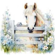 ヒメ日記 2026/01/01 08:59 投稿 みこと 奥様の実話 梅田店