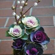 ヒメ日記 2026/01/02 10:04 投稿 みこと 奥様の実話 梅田店