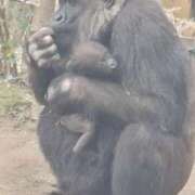 ヒメ日記 2026/01/04 08:25 投稿 みこと 奥様の実話 梅田店