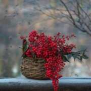 ヒメ日記 2026/01/05 09:30 投稿 みこと 奥様の実話 梅田店