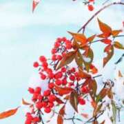 ヒメ日記 2026/01/08 09:00 投稿 みこと 奥様の実話 梅田店