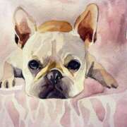 ヒメ日記 2026/01/10 10:18 投稿 みこと 奥様の実話 梅田店