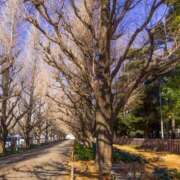 ヒメ日記 2026/01/18 10:10 投稿 みこと 奥様の実話 梅田店