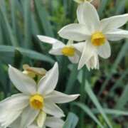 みこと おはようございます。みことです。 奥様の実話 梅田店