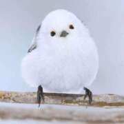 ヒメ日記 2026/01/22 09:39 投稿 みこと 奥様の実話 梅田店