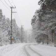 ヒメ日記 2026/01/25 14:39 投稿 みこと 奥様の実話 梅田店