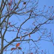 ヒメ日記 2026/01/28 08:56 投稿 みこと 奥様の実話 梅田店