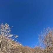 ヒメ日記 2026/01/29 08:38 投稿 みこと 奥様の実話 梅田店