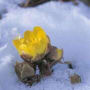 ヒメ日記 2026/01/31 08:51 投稿 みこと 奥様の実話 梅田店