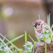 ヒメ日記 2026/02/18 09:04 投稿 みこと 奥様の実話 梅田店