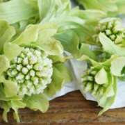 ヒメ日記 2026/02/22 08:46 投稿 みこと 奥様の実話 梅田店