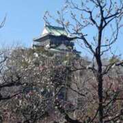 ヒメ日記 2026/02/23 10:13 投稿 みこと 奥様の実話 梅田店