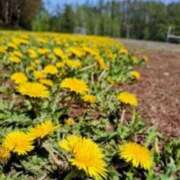 ヒメ日記 2026/02/24 08:45 投稿 みこと 奥様の実話 梅田店