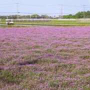 ヒメ日記 2026/02/27 08:54 投稿 みこと 奥様の実話 梅田店