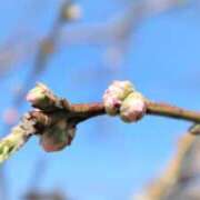 ヒメ日記 2026/02/28 10:16 投稿 みこと 奥様の実話 梅田店