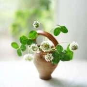 ヒメ日記 2026/03/01 09:01 投稿 みこと 奥様の実話 梅田店