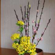 ヒメ日記 2026/03/02 12:13 投稿 みこと 奥様の実話 梅田店