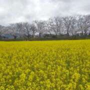 ヒメ日記 2026/03/08 09:13 投稿 みこと 奥様の実話 梅田店