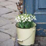 ヒメ日記 2026/03/11 08:50 投稿 みこと 奥様の実話 梅田店