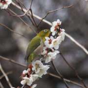 ヒメ日記 2026/03/12 09:56 投稿 みこと 奥様の実話 梅田店