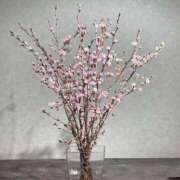 ヒメ日記 2026/03/13 08:49 投稿 みこと 奥様の実話 梅田店