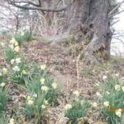 ヒメ日記 2026/03/14 10:07 投稿 みこと 奥様の実話 梅田店