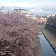 ヒメ日記 2026/03/16 08:47 投稿 みこと 奥様の実話 梅田店