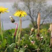 ヒメ日記 2026/03/17 08:59 投稿 みこと 奥様の実話 梅田店