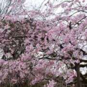 ヒメ日記 2026/03/18 11:37 投稿 みこと 奥様の実話 梅田店