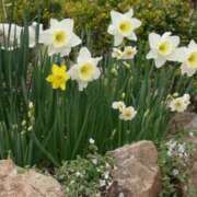 ヒメ日記 2026/03/19 15:04 投稿 みこと 奥様の実話 梅田店