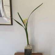 ヒメ日記 2026/03/20 22:05 投稿 みこと 奥様の実話 梅田店