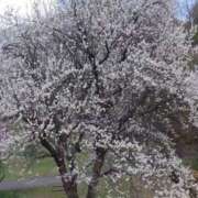 ヒメ日記 2026/03/21 22:44 投稿 みこと 奥様の実話 梅田店