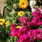 ヒメ日記 2026/03/22 22:34 投稿 みこと 奥様の実話 梅田店