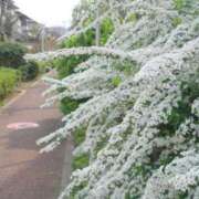 ヒメ日記 2026/03/23 12:08 投稿 みこと 奥様の実話 梅田店