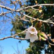 ヒメ日記 2026/03/24 08:47 投稿 みこと 奥様の実話 梅田店