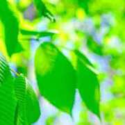 ヒメ日記 2026/03/27 08:54 投稿 みこと 奥様の実話 梅田店