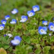 ヒメ日記 2026/03/28 10:01 投稿 みこと 奥様の実話 梅田店