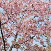 ヒメ日記 2026/03/29 08:01 投稿 みこと 奥様の実話 梅田店